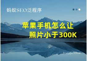 苹果手机怎么让照片小于300K