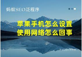 苹果手机怎么设置使用网络怎么回事