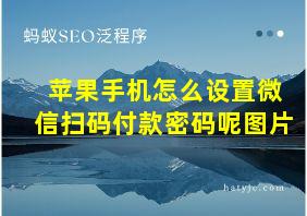 苹果手机怎么设置微信扫码付款密码呢图片