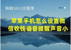 苹果手机怎么设置微信收钱语音提醒声音小