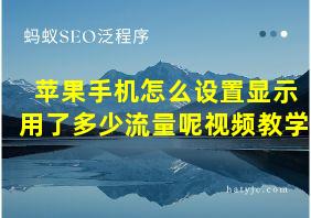 苹果手机怎么设置显示用了多少流量呢视频教学