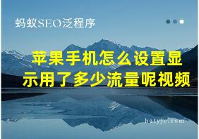 苹果手机怎么设置显示用了多少流量呢视频