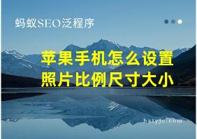 苹果手机怎么设置照片比例尺寸大小