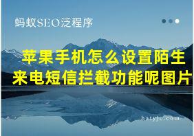 苹果手机怎么设置陌生来电短信拦截功能呢图片