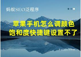 苹果手机怎么调颜色饱和度快捷键设置不了