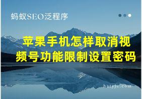 苹果手机怎样取消视频号功能限制设置密码