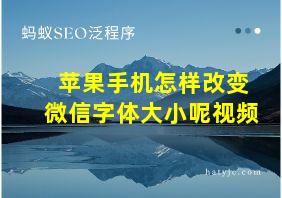 苹果手机怎样改变微信字体大小呢视频