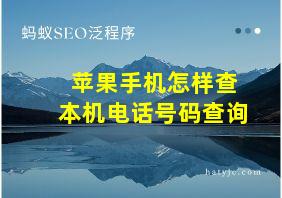 苹果手机怎样查本机电话号码查询