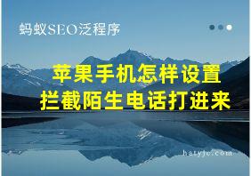 苹果手机怎样设置拦截陌生电话打进来