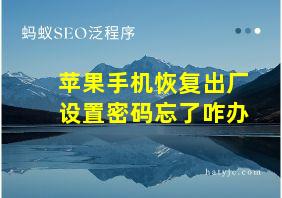 苹果手机恢复出厂设置密码忘了咋办