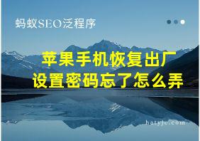 苹果手机恢复出厂设置密码忘了怎么弄