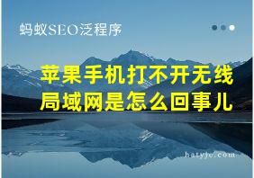 苹果手机打不开无线局域网是怎么回事儿