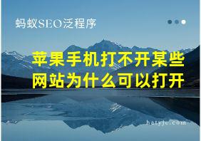 苹果手机打不开某些网站为什么可以打开