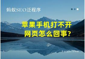 苹果手机打不开网页怎么回事?