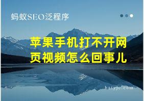 苹果手机打不开网页视频怎么回事儿