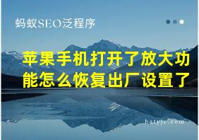 苹果手机打开了放大功能怎么恢复出厂设置了