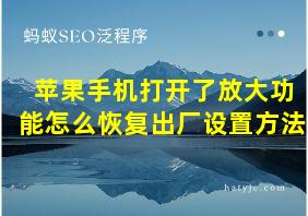 苹果手机打开了放大功能怎么恢复出厂设置方法