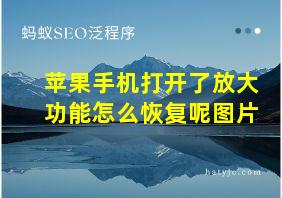 苹果手机打开了放大功能怎么恢复呢图片