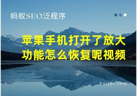 苹果手机打开了放大功能怎么恢复呢视频