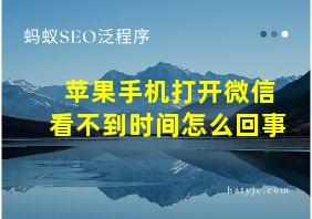 苹果手机打开微信看不到时间怎么回事