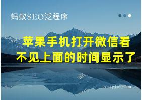 苹果手机打开微信看不见上面的时间显示了