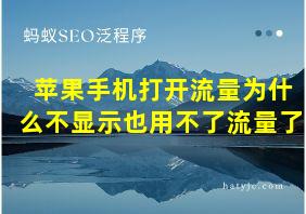 苹果手机打开流量为什么不显示也用不了流量了