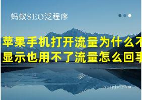 苹果手机打开流量为什么不显示也用不了流量怎么回事