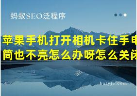 苹果手机打开相机卡住手电筒也不亮怎么办呀怎么关闭