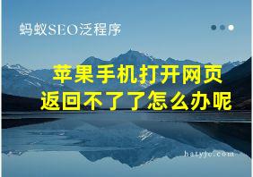 苹果手机打开网页返回不了了怎么办呢