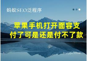 苹果手机打开面容支付了可是还是付不了款