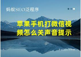 苹果手机打微信视频怎么关声音提示