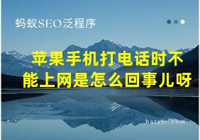 苹果手机打电话时不能上网是怎么回事儿呀