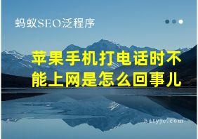 苹果手机打电话时不能上网是怎么回事儿