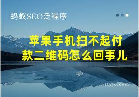 苹果手机扫不起付款二维码怎么回事儿