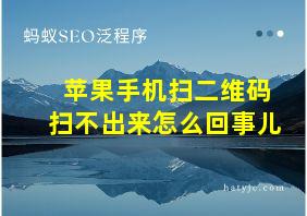 苹果手机扫二维码扫不出来怎么回事儿