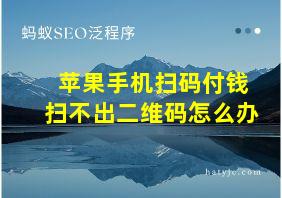 苹果手机扫码付钱扫不出二维码怎么办