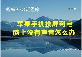 苹果手机投屏到电脑上没有声音怎么办