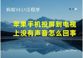 苹果手机投屏到电视上没有声音怎么回事