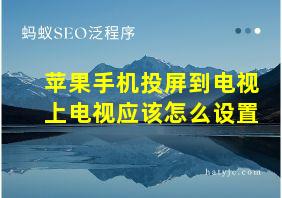 苹果手机投屏到电视上电视应该怎么设置