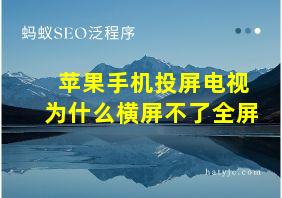 苹果手机投屏电视为什么横屏不了全屏