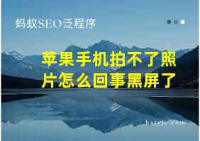 苹果手机拍不了照片怎么回事黑屏了