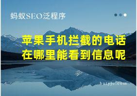 苹果手机拦截的电话在哪里能看到信息呢