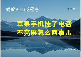 苹果手机挂了电话不亮屏怎么回事儿