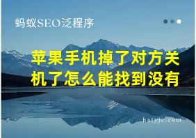 苹果手机掉了对方关机了怎么能找到没有