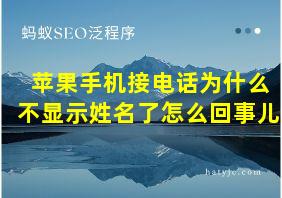 苹果手机接电话为什么不显示姓名了怎么回事儿