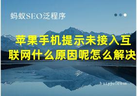 苹果手机提示未接入互联网什么原因呢怎么解决