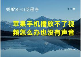 苹果手机播放不了视频怎么办也没有声音