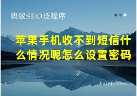 苹果手机收不到短信什么情况呢怎么设置密码