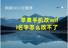 苹果手机改wifi名字怎么改不了