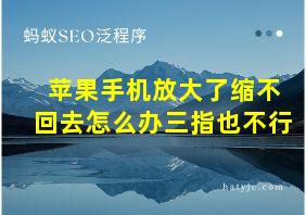 苹果手机放大了缩不回去怎么办三指也不行